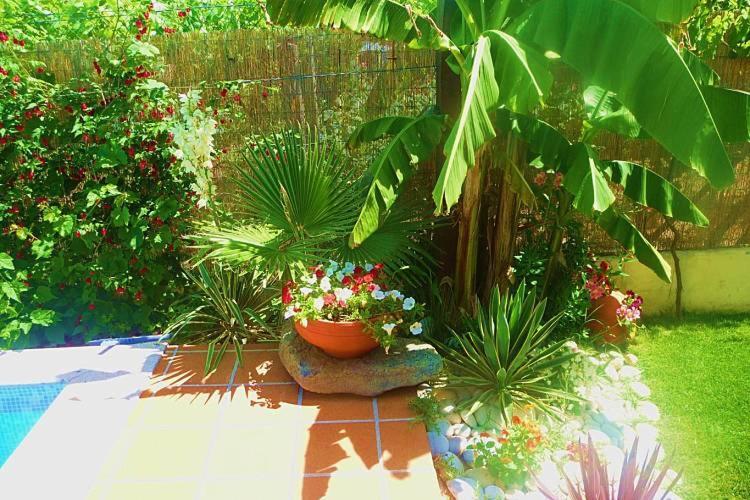 לינה וארוחת בוקר פונטה דה לימה Casa Da Pedrosa מראה חיצוני תמונה